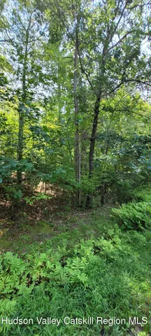 a view of an outdoor space and a yard