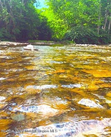 a view of a big yard