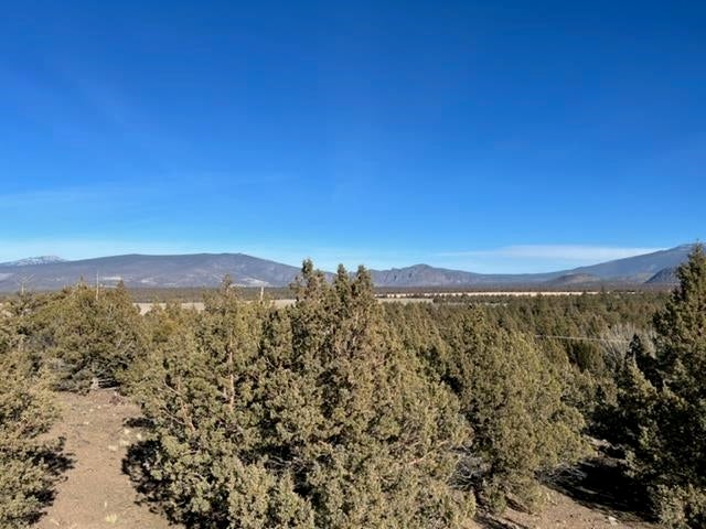 54 Glacier View Road Weed, CA 96094 - Photo 1 of 4 Gallery Image 1