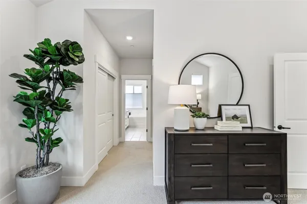 a bathroom with a potted plant and a sink
