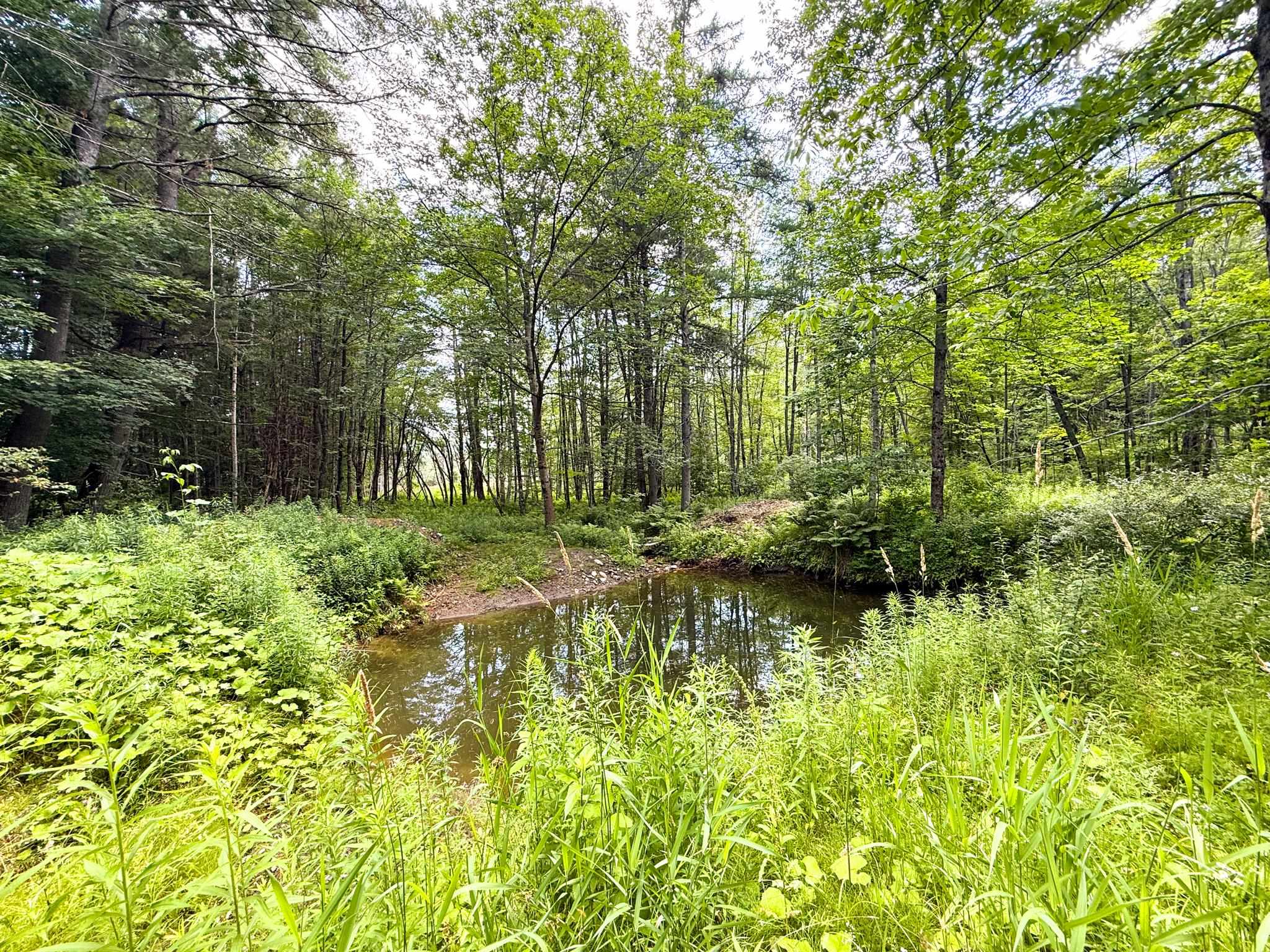 68 Isaac Perkins Road Lyme, NH 03768 - Photo 59 of 60