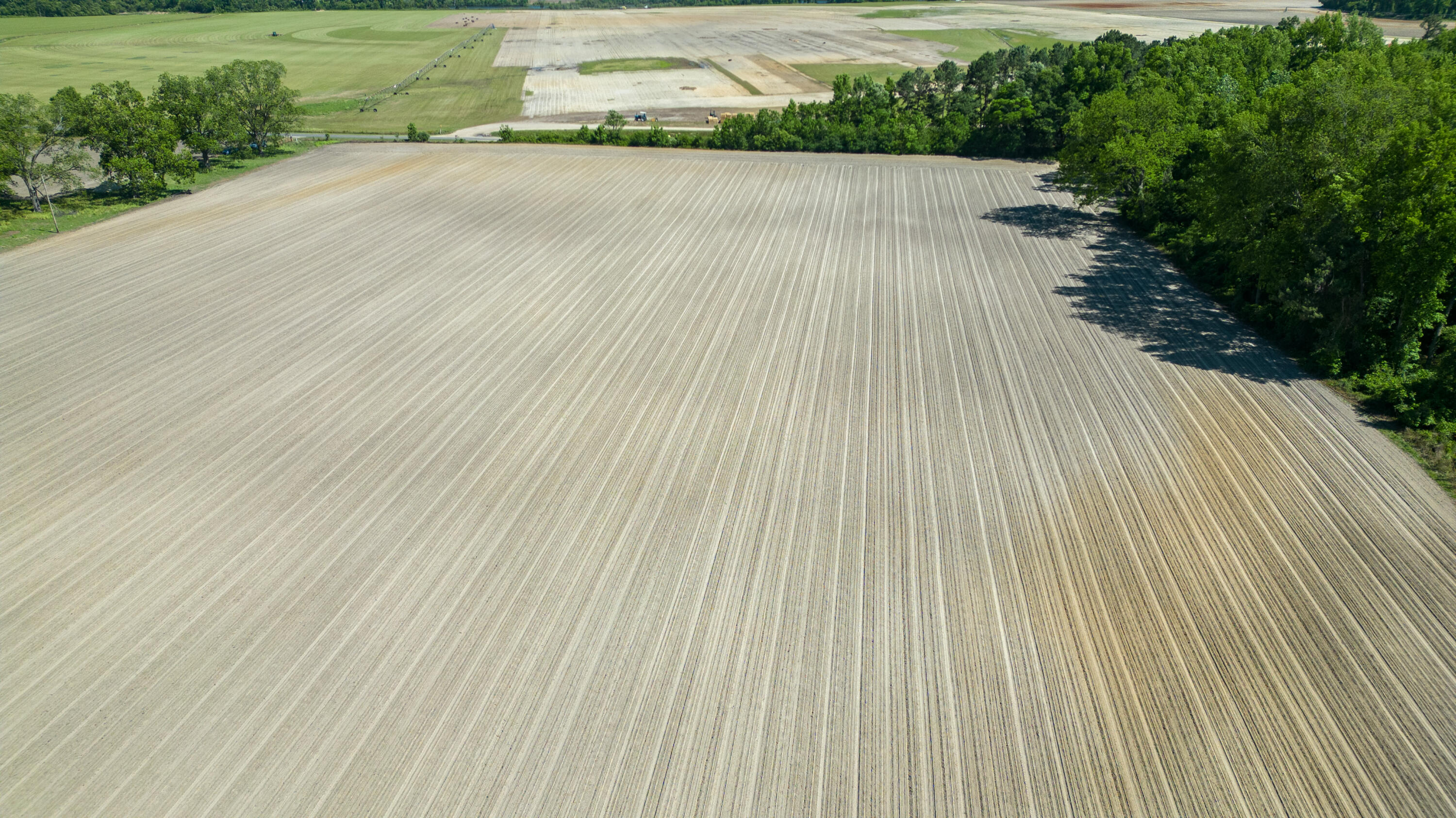 1344 Farmers Road Elloree, SC 29047 - Photo 5 of 8 DJI_0181