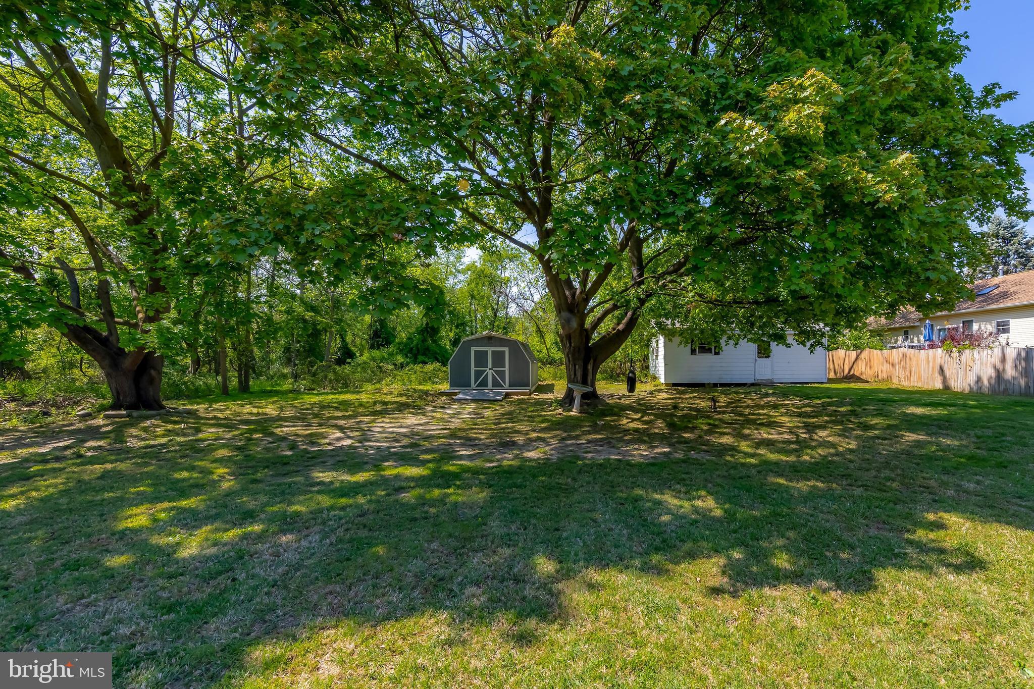 121 Kansas Road Pennsville, NJ 08070 - Photo 24 of 32 a view of a tree in a yard with large trees