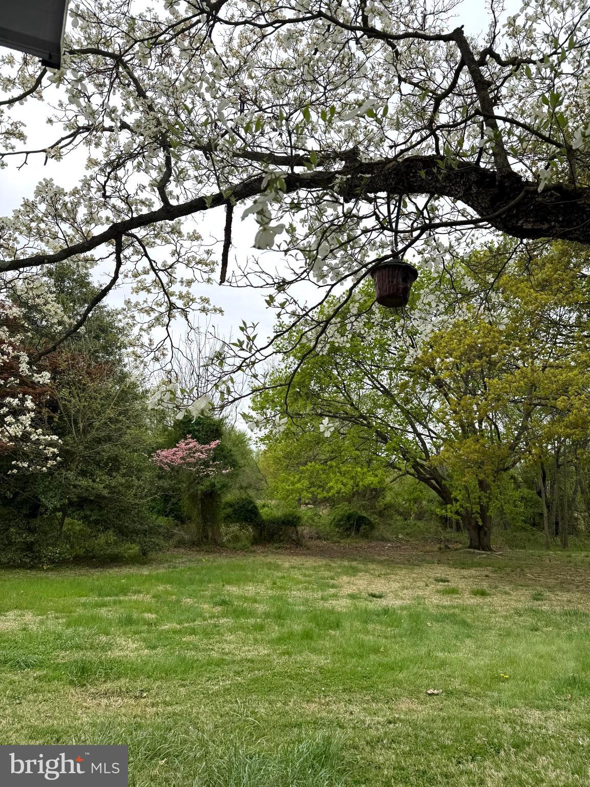 121 Kansas Road Pennsville, NJ 08070 - Photo 30 of 32 a view of a yard
