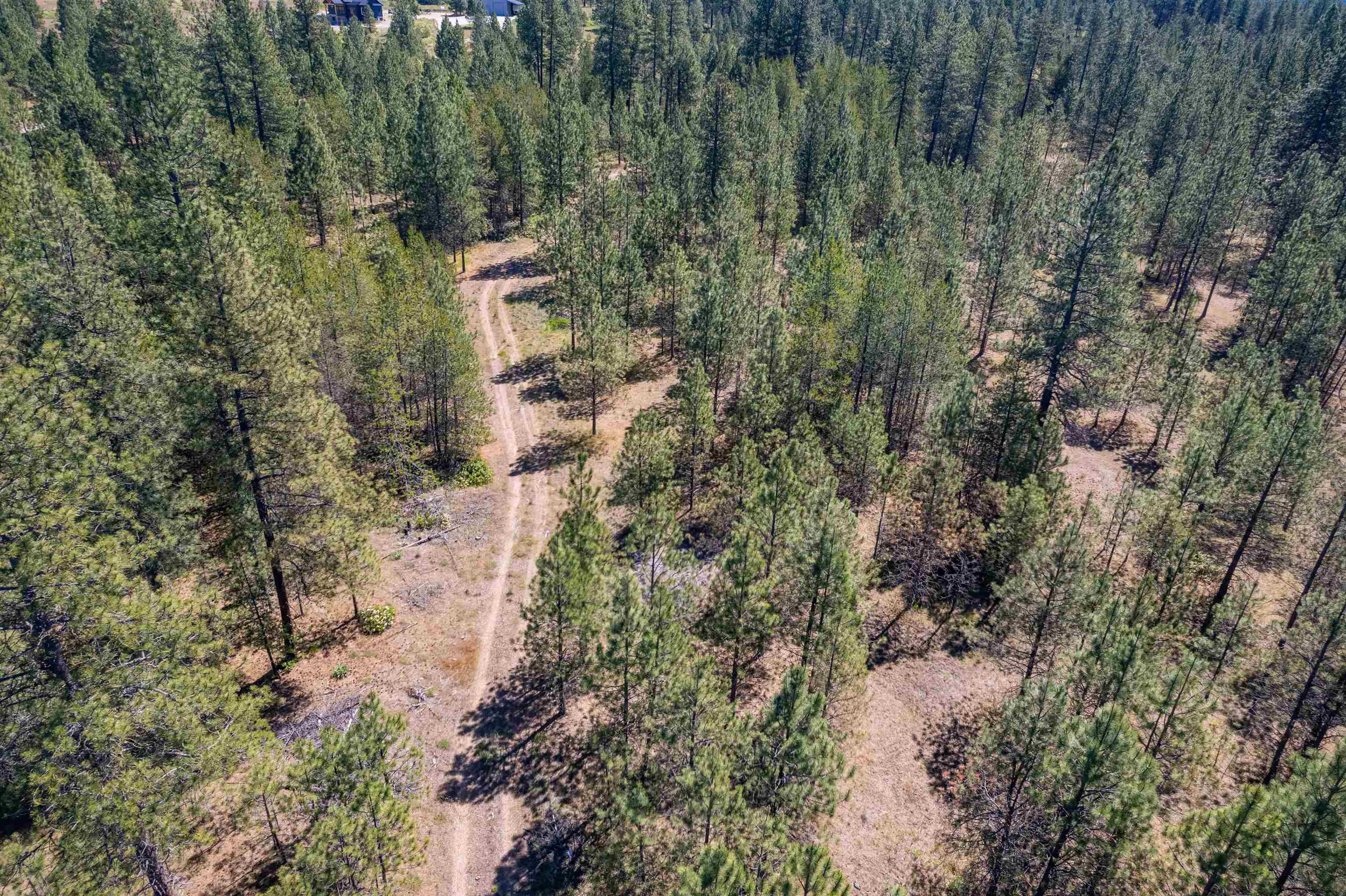 29-xxx North Hardesty Road Chattaroy, WA 99003 - Photo 11 of 40