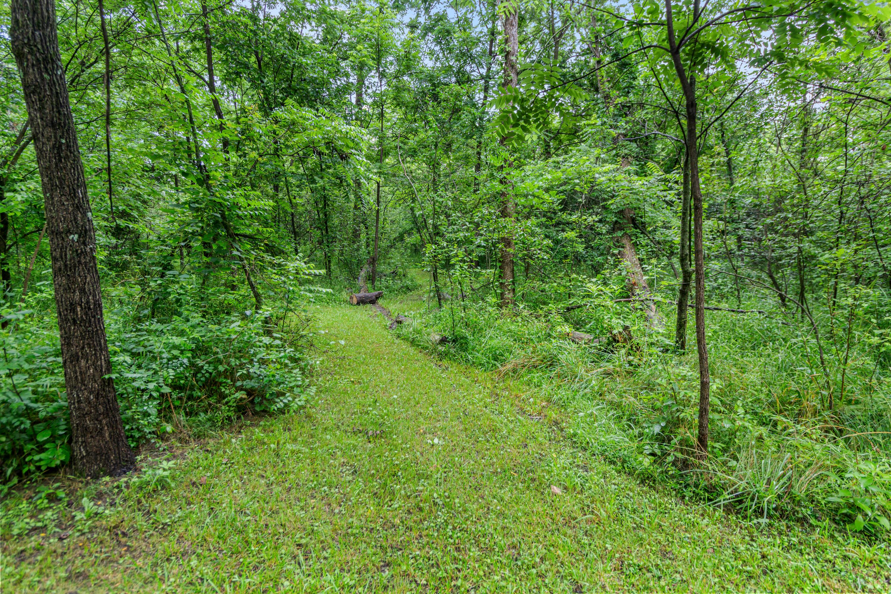 7673 Opossum Run Road London, OH 43140 - Photo 76 of 83 7673 Opossum Run Outdoor (22)