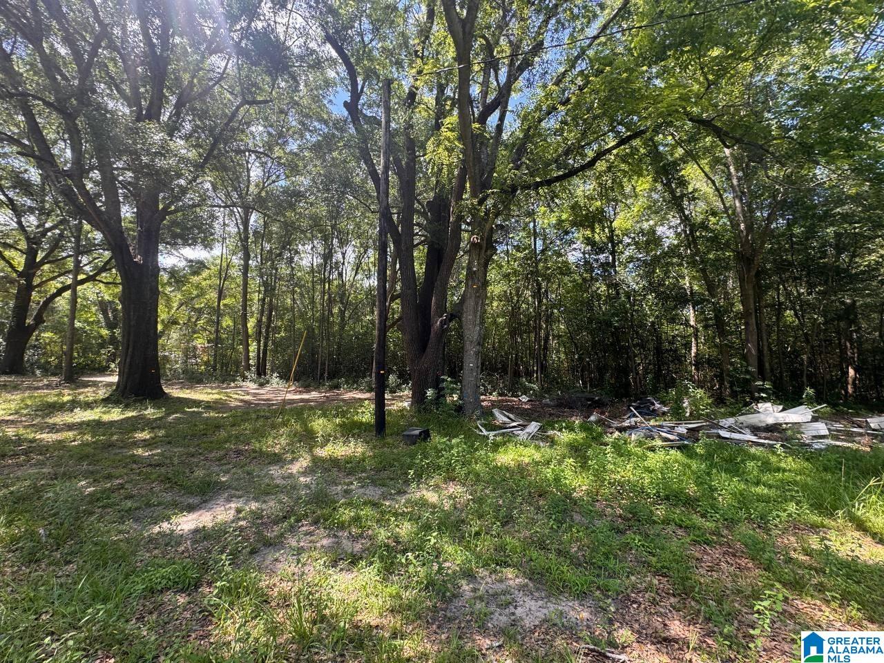 5246 Outlaw Road Eight Mile, AL 36613 - Photo 37 of 60