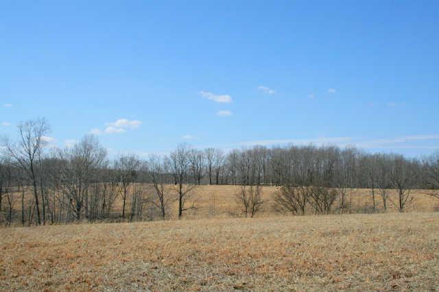 0 Fly Hollow Road Santa Fe, TN 38482 - Photo 17 of 19 Across the road in the distance you can see a peaceful farm.