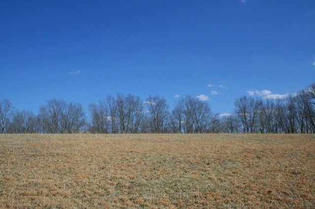 0 Fly Hollow Road Santa Fe, TN 38482 - Photo 2 of 19 Nice potential home sites
