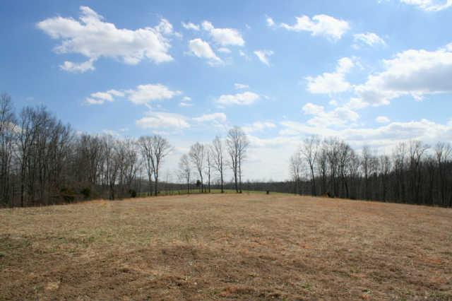 0 Fly Hollow Road Santa Fe, TN 38482 - Photo 3 of 19 This is the front field.