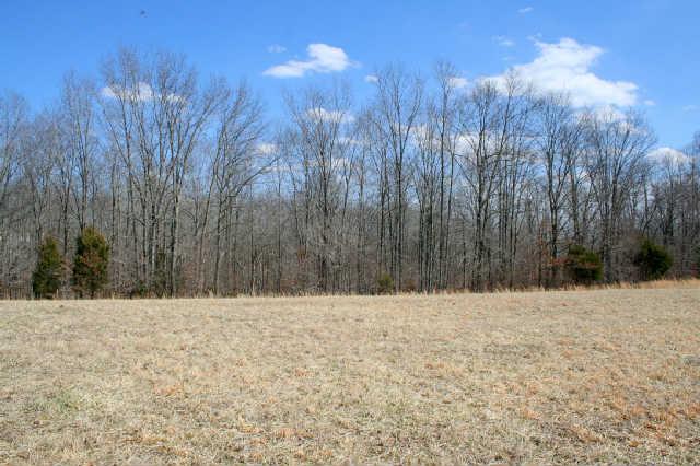 0 Fly Hollow Road Santa Fe, TN 38482 - Photo 4 of 19 There is a large wooded area midway back in the property