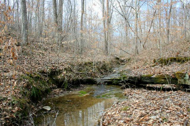 0 Fly Hollow Road Santa Fe, TN 38482 - Photo 9 of 19 A small stream runs year round on the property. There is another wet weather stream as well.