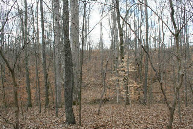 0 Fly Hollow Road Santa Fe, TN 38482 - Photo 10 of 19 This property could be a nice farm, home, or retreat.