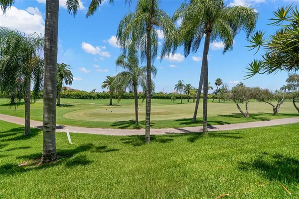 a view of a park with palm trees