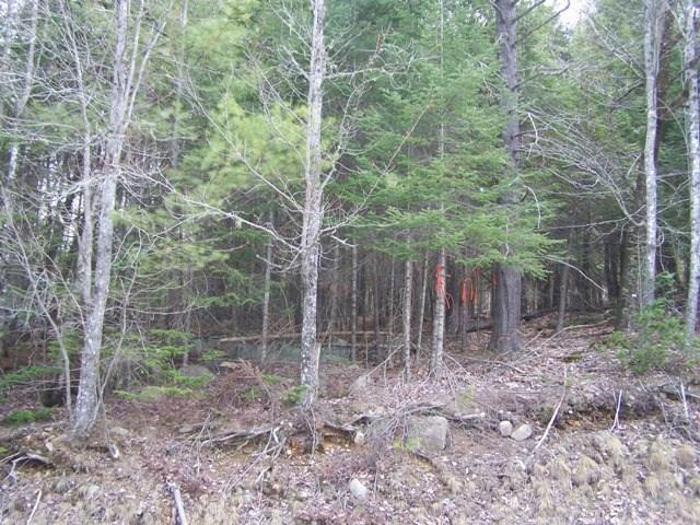 Lot 7 188th Route Burlington, ME 04417 - Photo 3 of 5 Photo