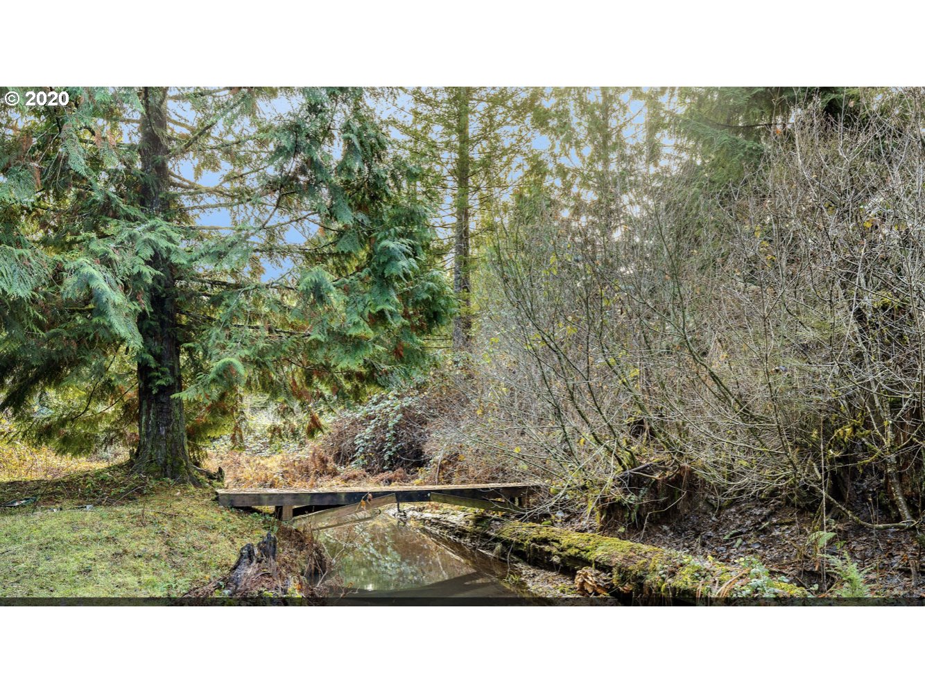 20295 South Unger Road Beavercreek, OR 97004 - Photo 5 of 31 Gallery Image 5