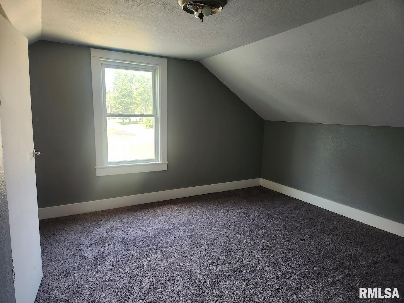 1007 South Oak Street Delavan, IL 61734 - Photo 14 of 21