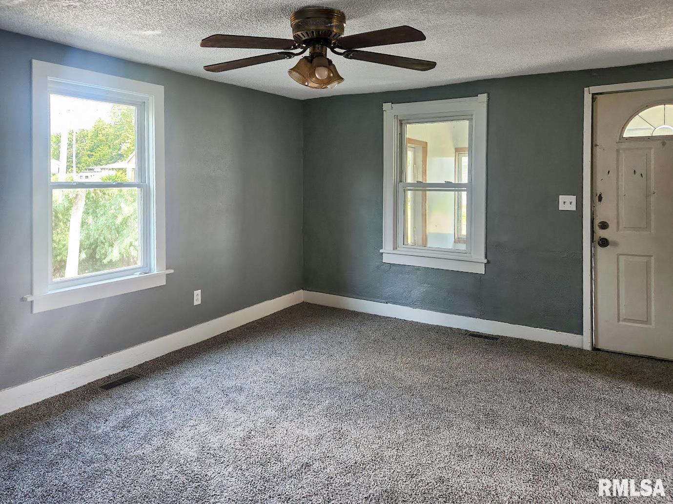 1007 South Oak Street Delavan, IL 61734 - Photo 4 of 21