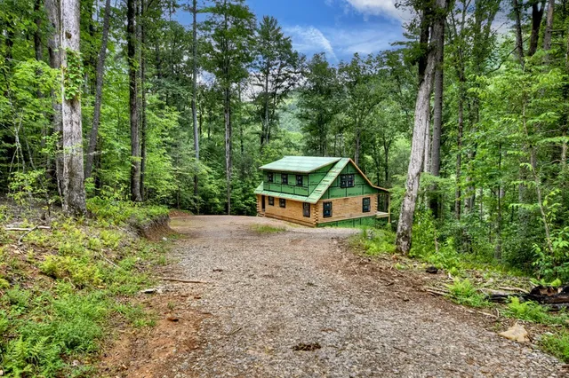 a view of a yard with plants and a bench