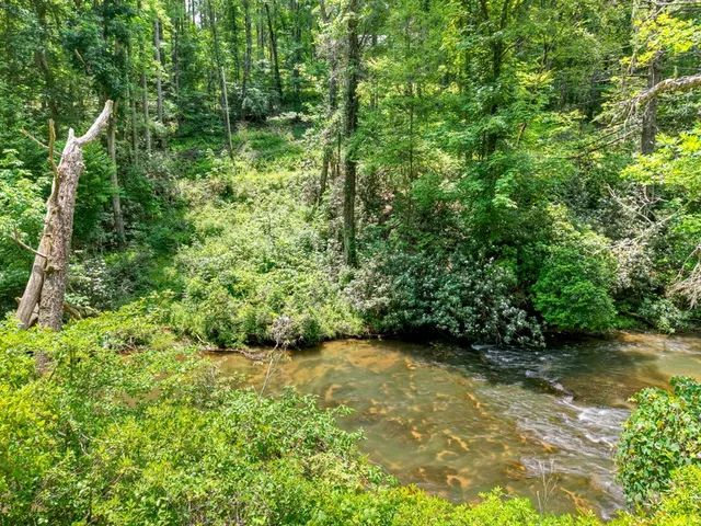 a view of a lake view
