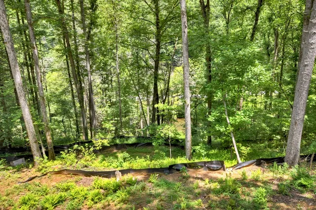 a view of backyard with green space