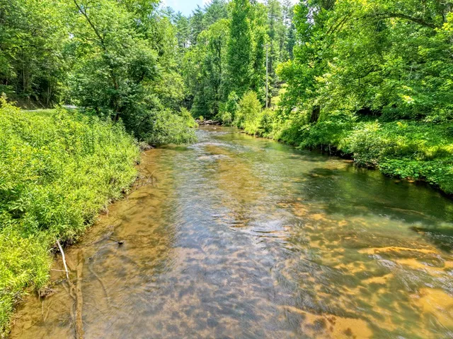 a view of a garden with a house