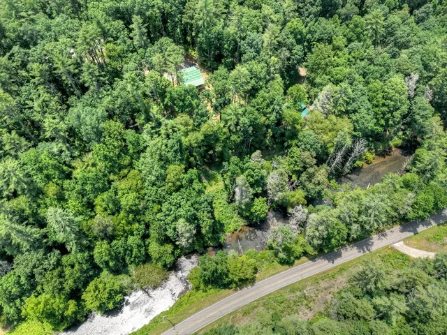 a view of a house with a plant