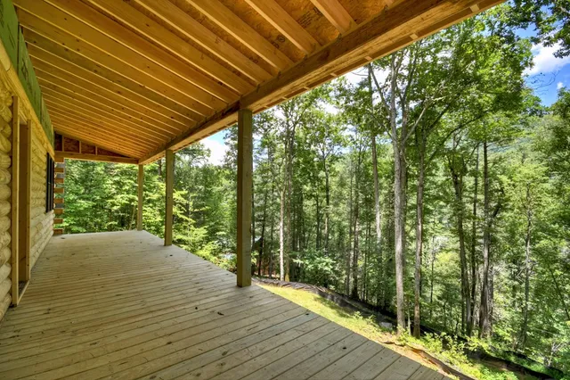 a view of backyard with green space