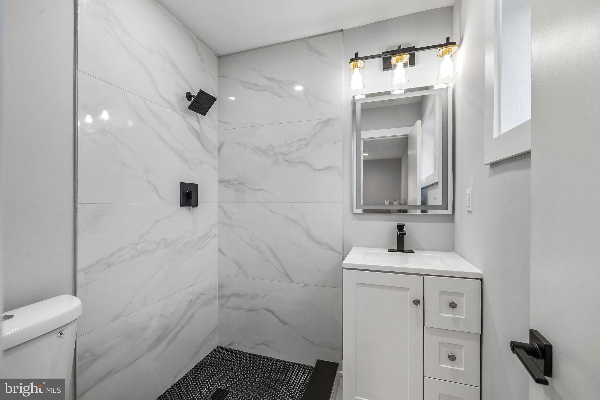 2209 Ellis Street Silver Spring, MD 20910 - Photo 19 of 49 a bathroom with a sink toilet and shower