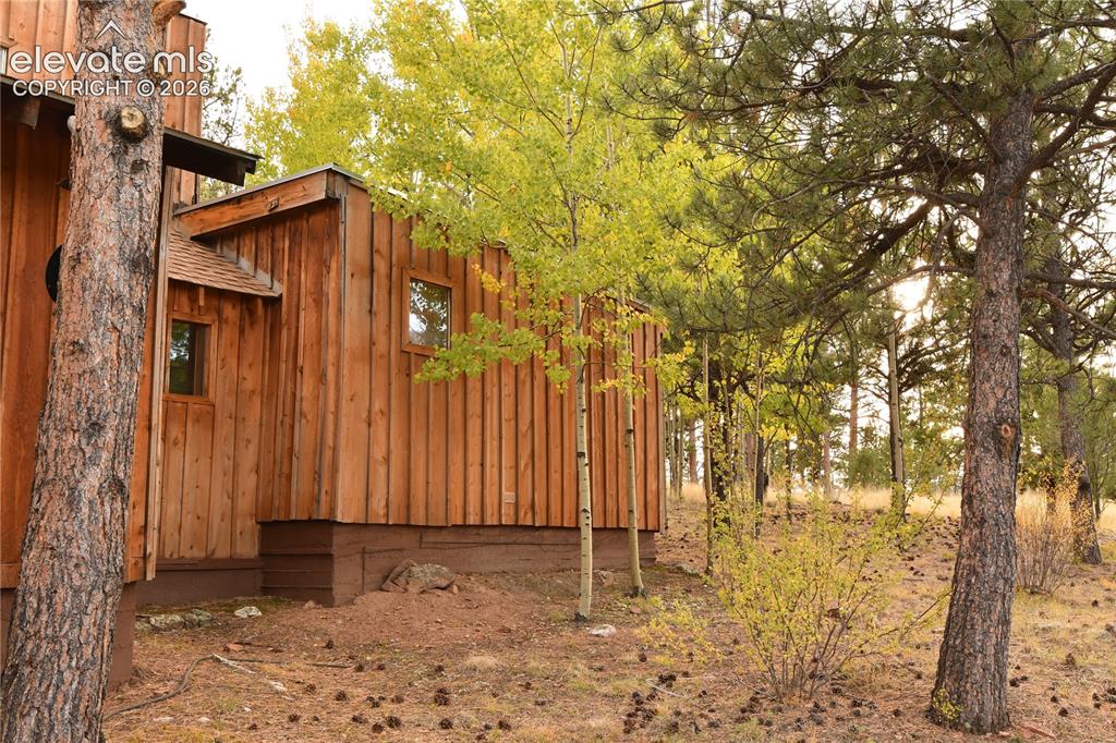3800 Doe Valley Road Guffey, CO 80820 - Photo 4 of 43