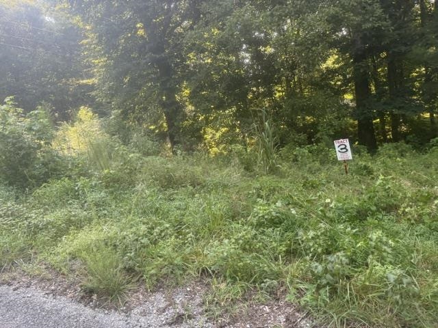 3 Carroll Hollow Road Waynesboro, TN 38485 - Photo 17 of 25 Gallery Image 17