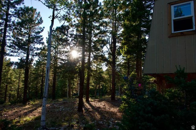 140 East Rim Road Duck Creek Village, UT 84762 - Photo 25 of 45 View of local wilderness