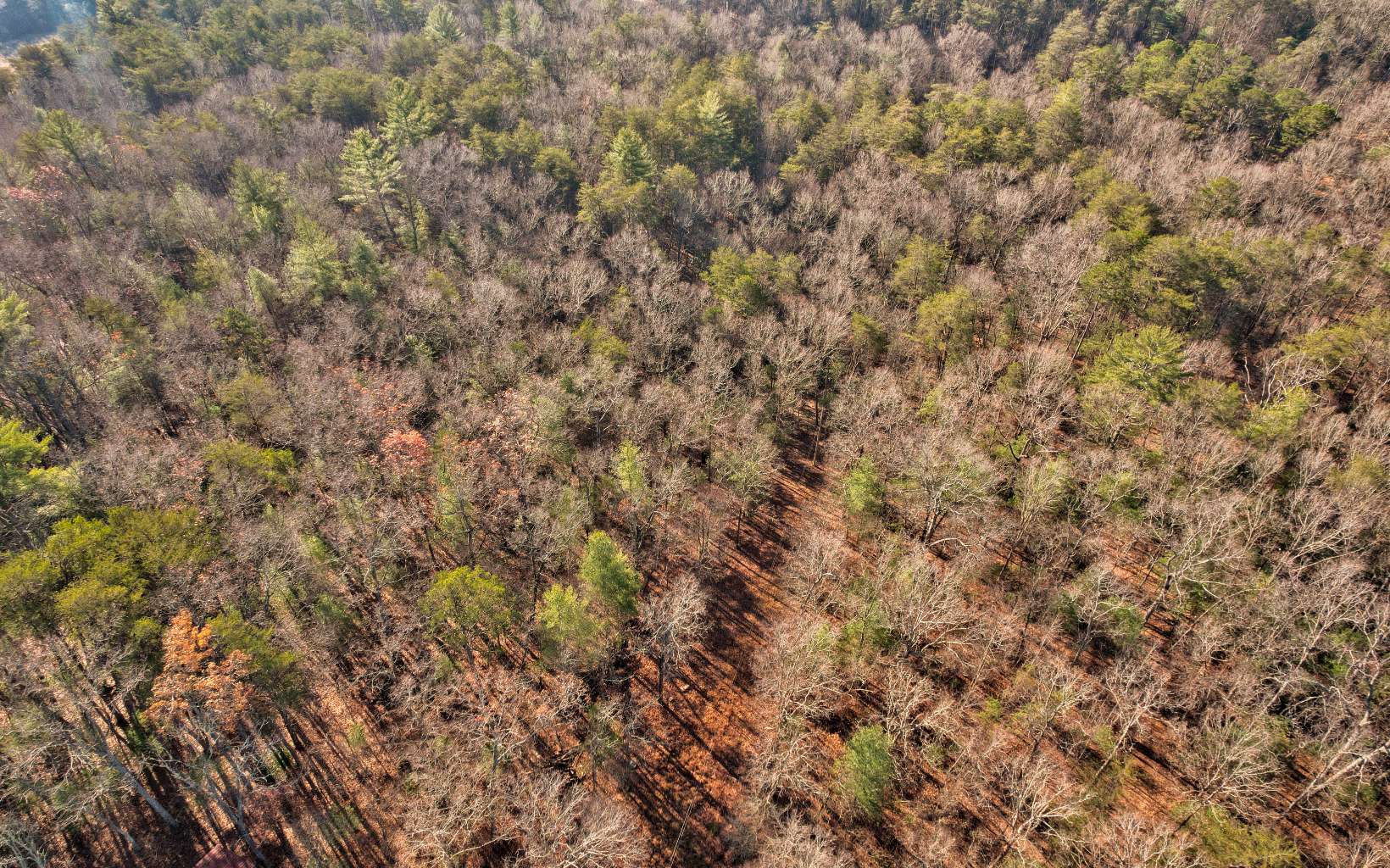 9.71 Deer Watch Lane Blue Ridge, GA 30513 - Photo 6 of 16 Additional View
