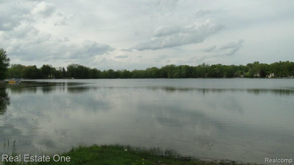 3735 Ellisia Road Commerce Township, MI 48382 - Photo 13 of 14 Bass Lake!