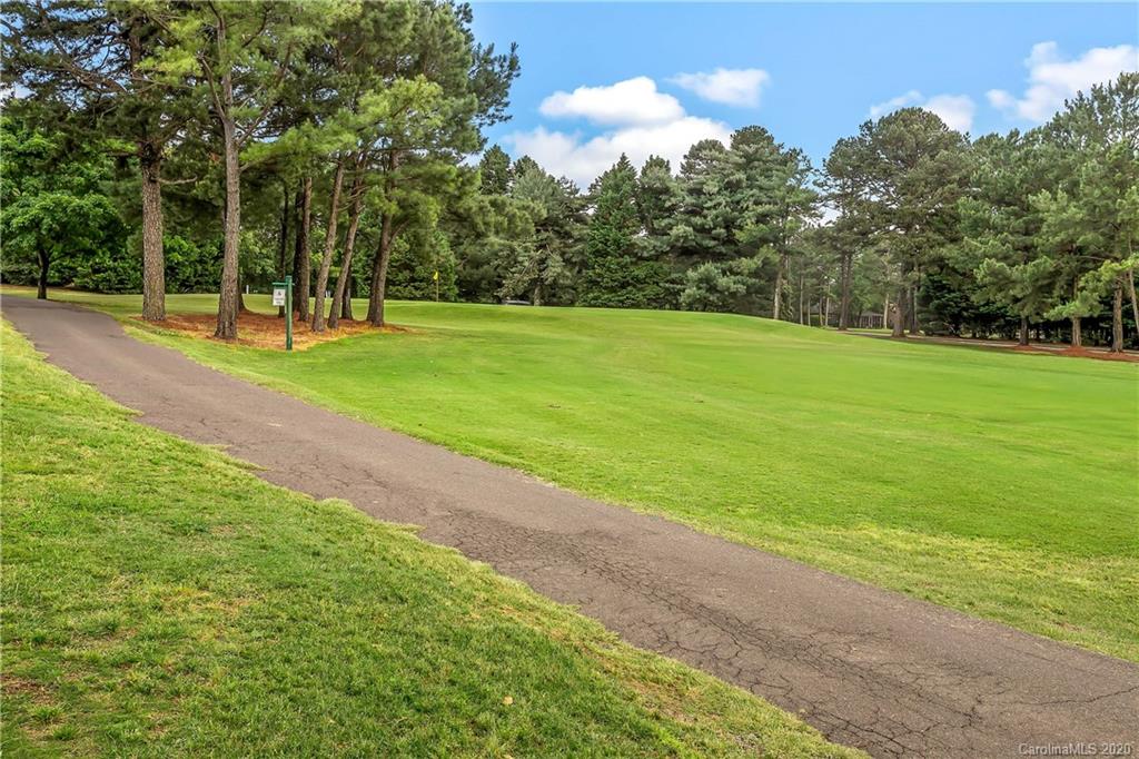 7709 Black Hawk Lane Tega Cay, SC 29708 - Photo 29 of 33