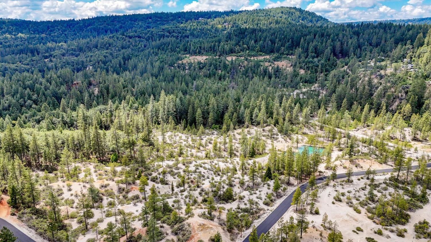 13751 Sailor Flat Road Nevada City, CA 95959 - Photo 9 of 49