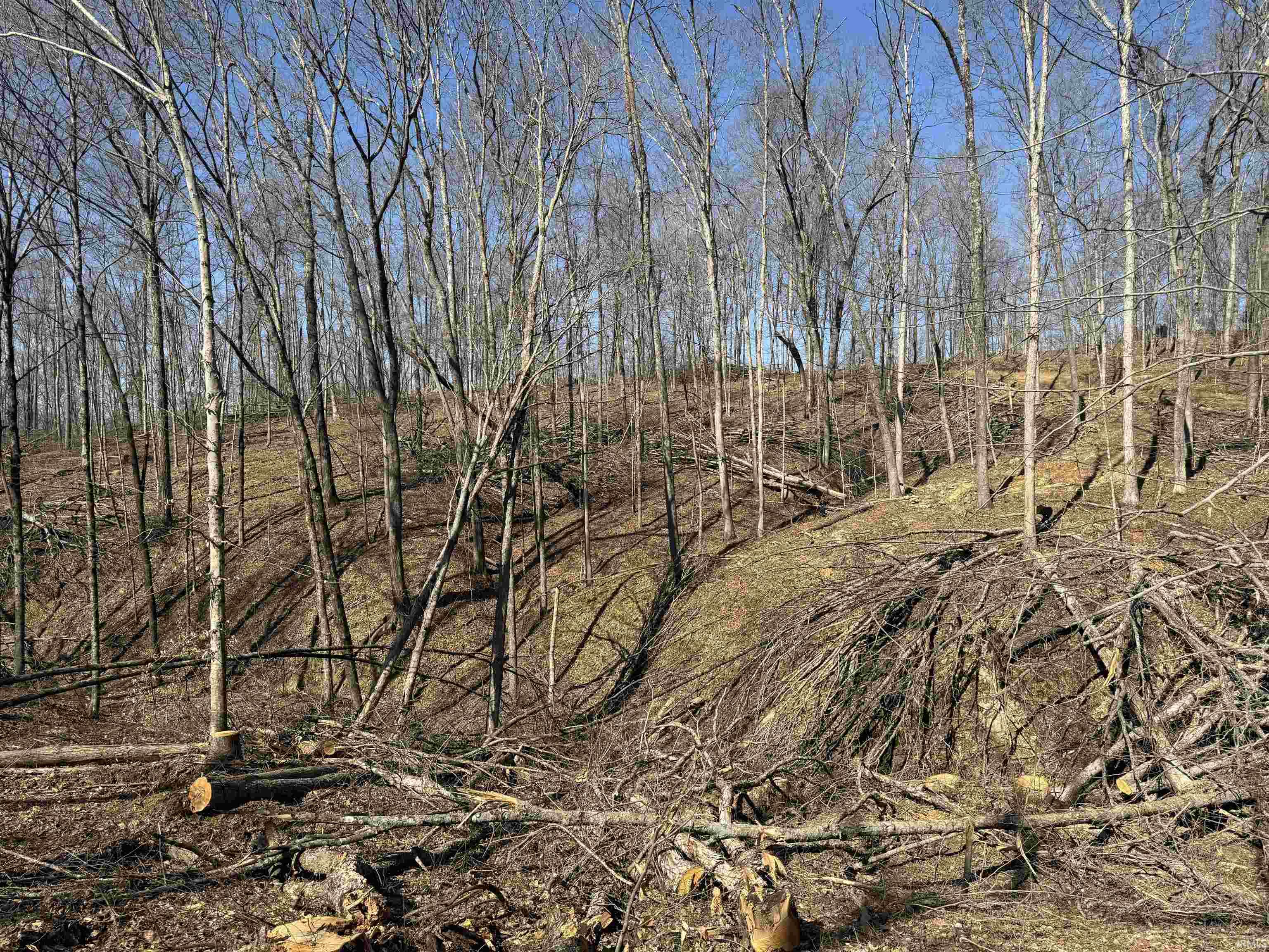 1 Off Meadows Heltonville, IN 47436 - Photo 11 of 23