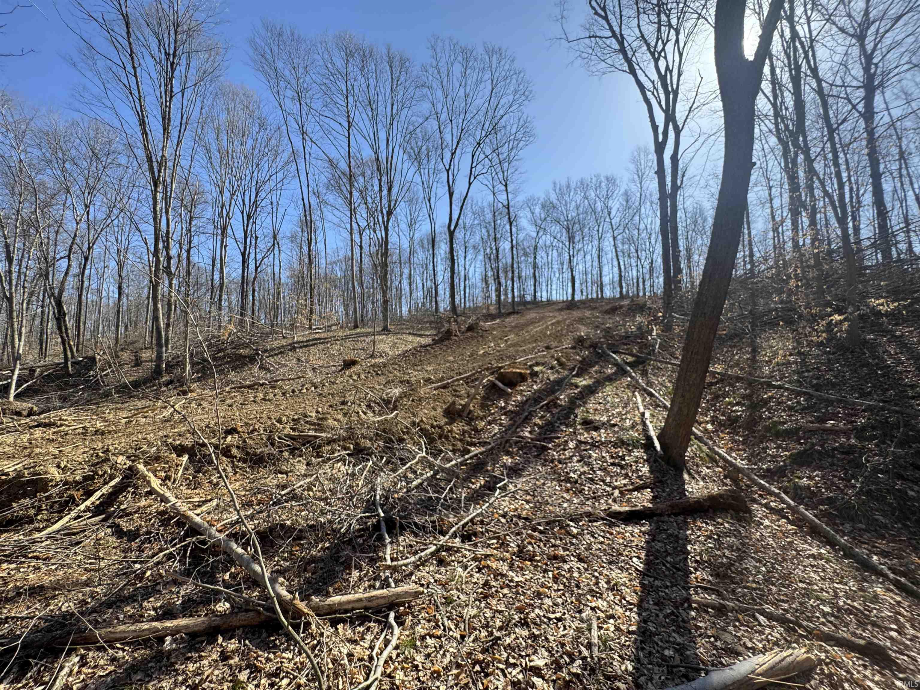 1 Off Meadows Heltonville, IN 47436 - Photo 13 of 23