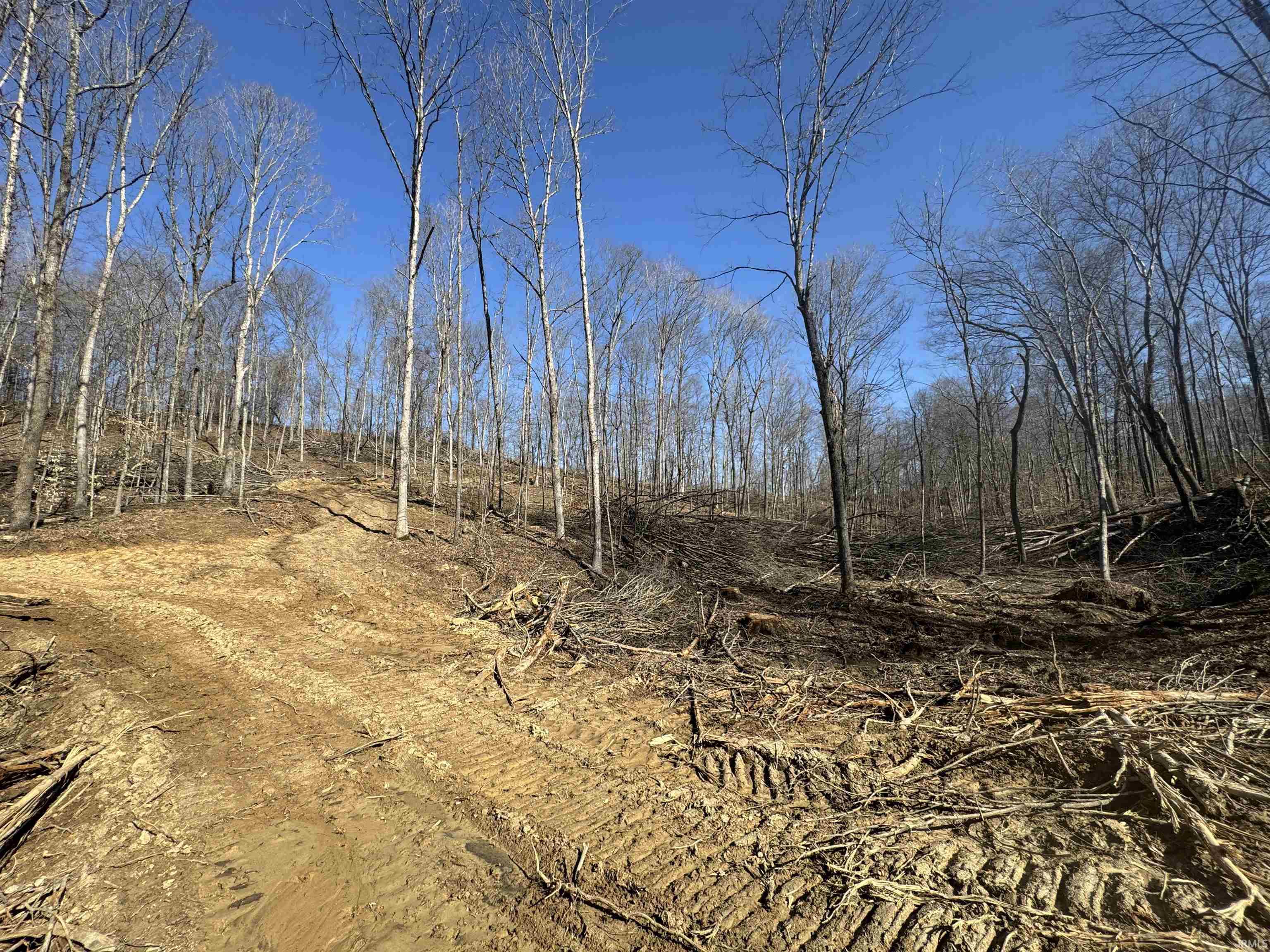 1 Off Meadows Heltonville, IN 47436 - Photo 14 of 23