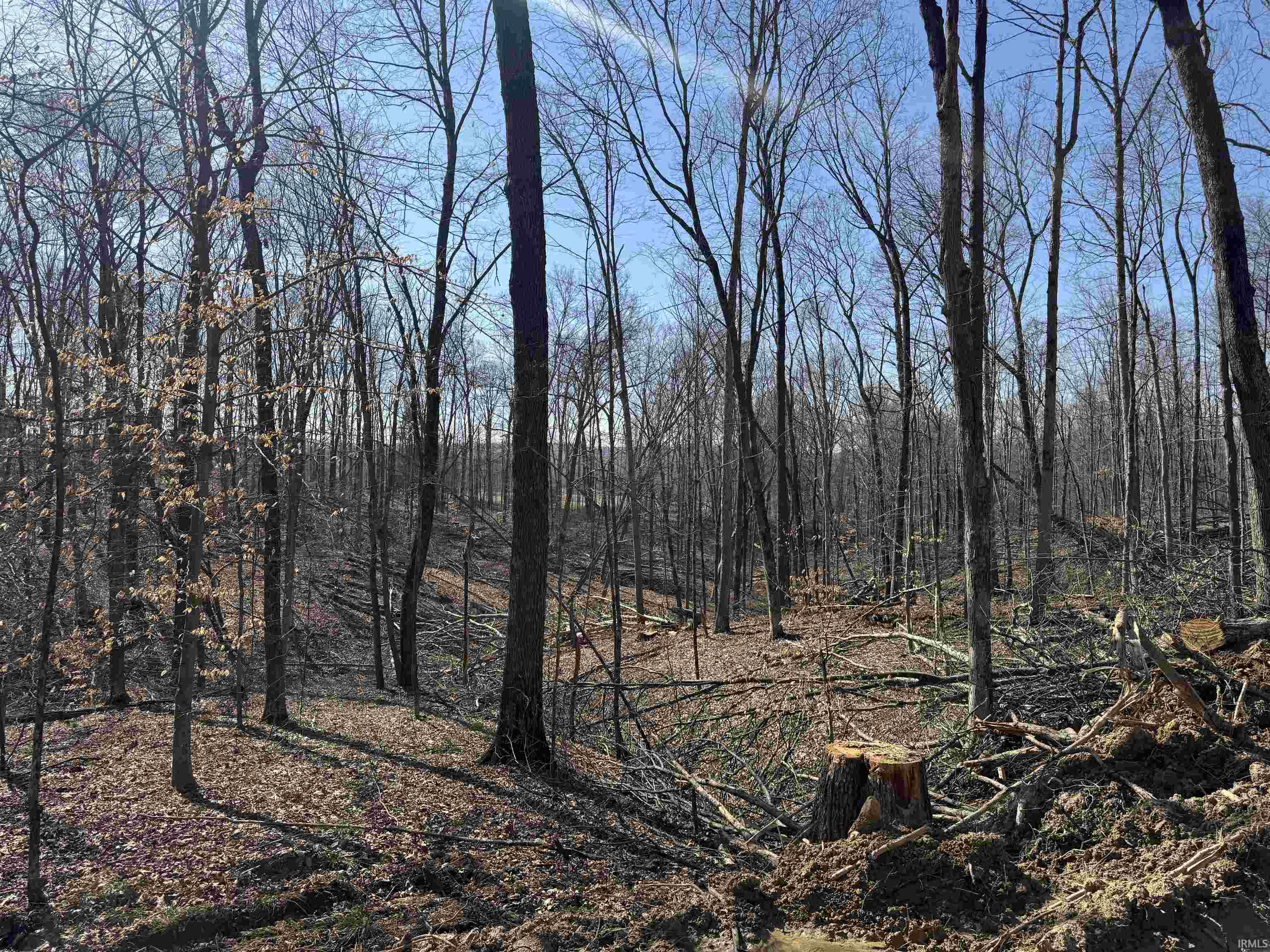 1 Off Meadows Heltonville, IN 47436 - Photo 15 of 23