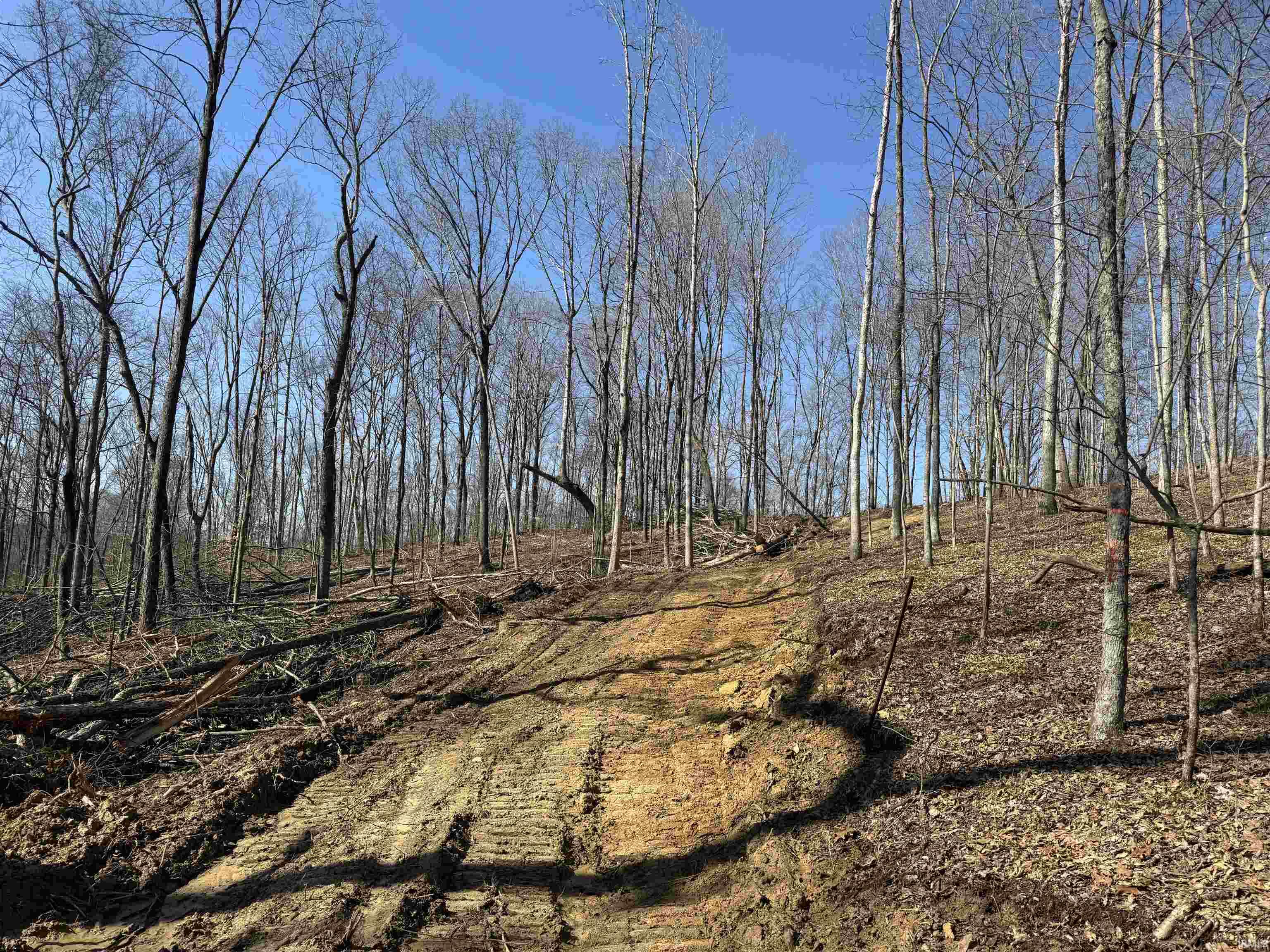 1 Off Meadows Heltonville, IN 47436 - Photo 16 of 23