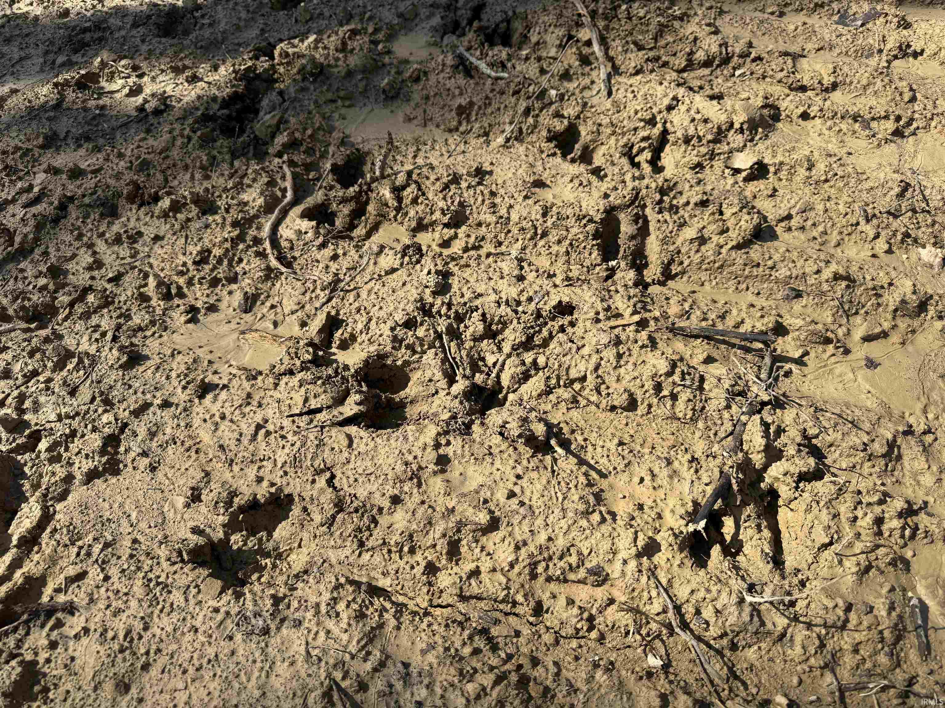 1 Off Meadows Heltonville, IN 47436 - Photo 17 of 23