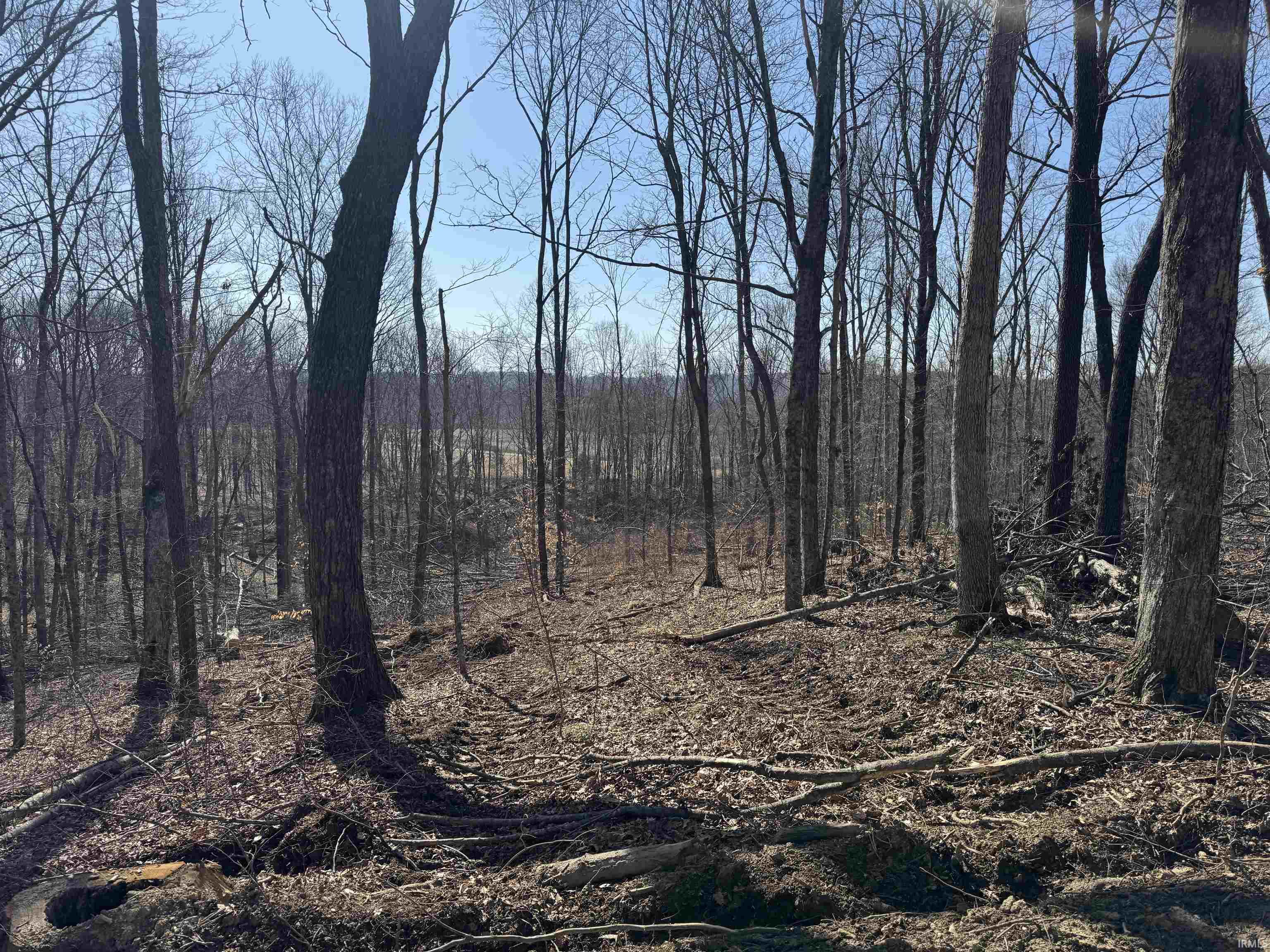 1 Off Meadows Heltonville, IN 47436 - Photo 18 of 23