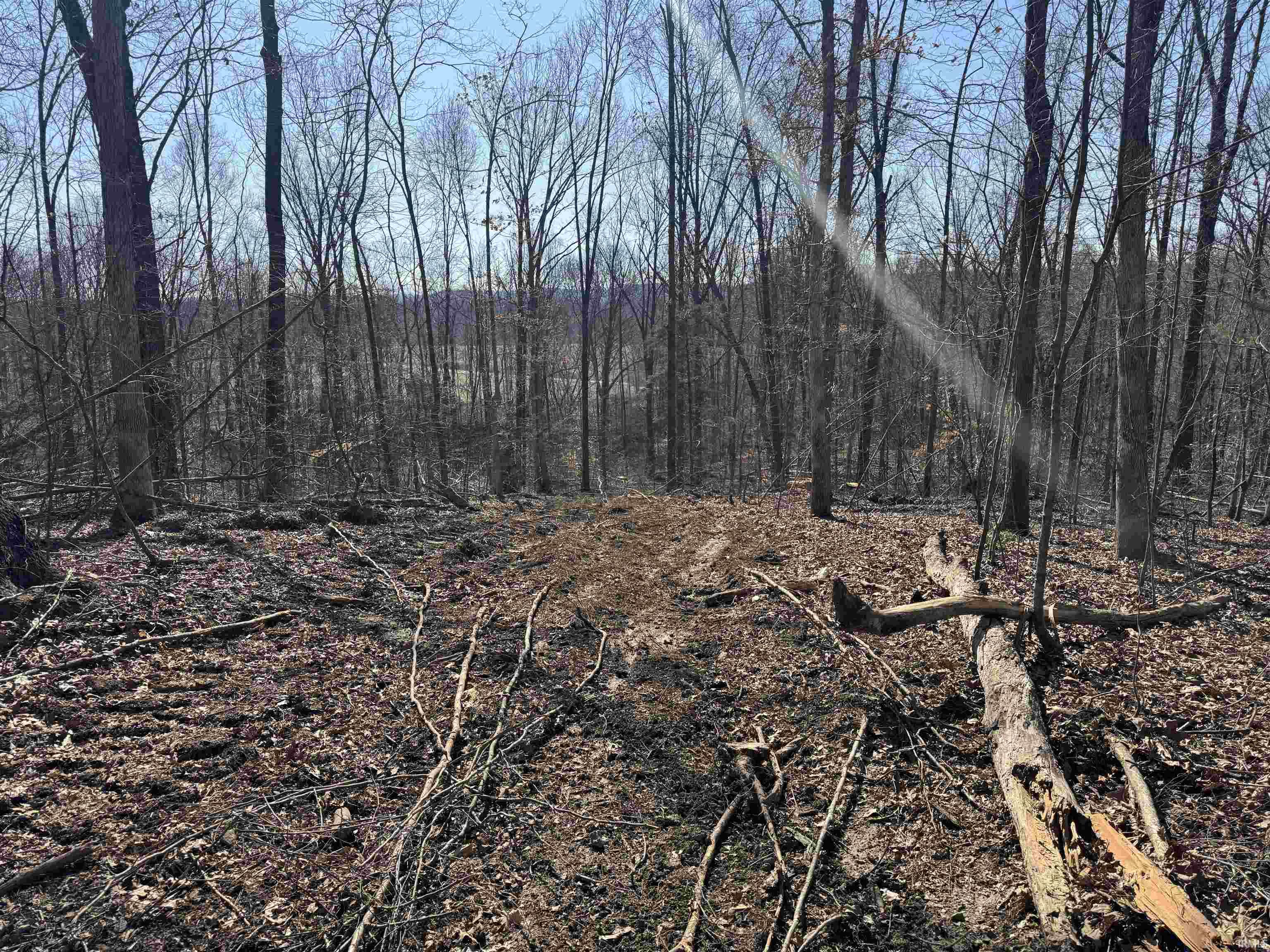 1 Off Meadows Heltonville, IN 47436 - Photo 20 of 23