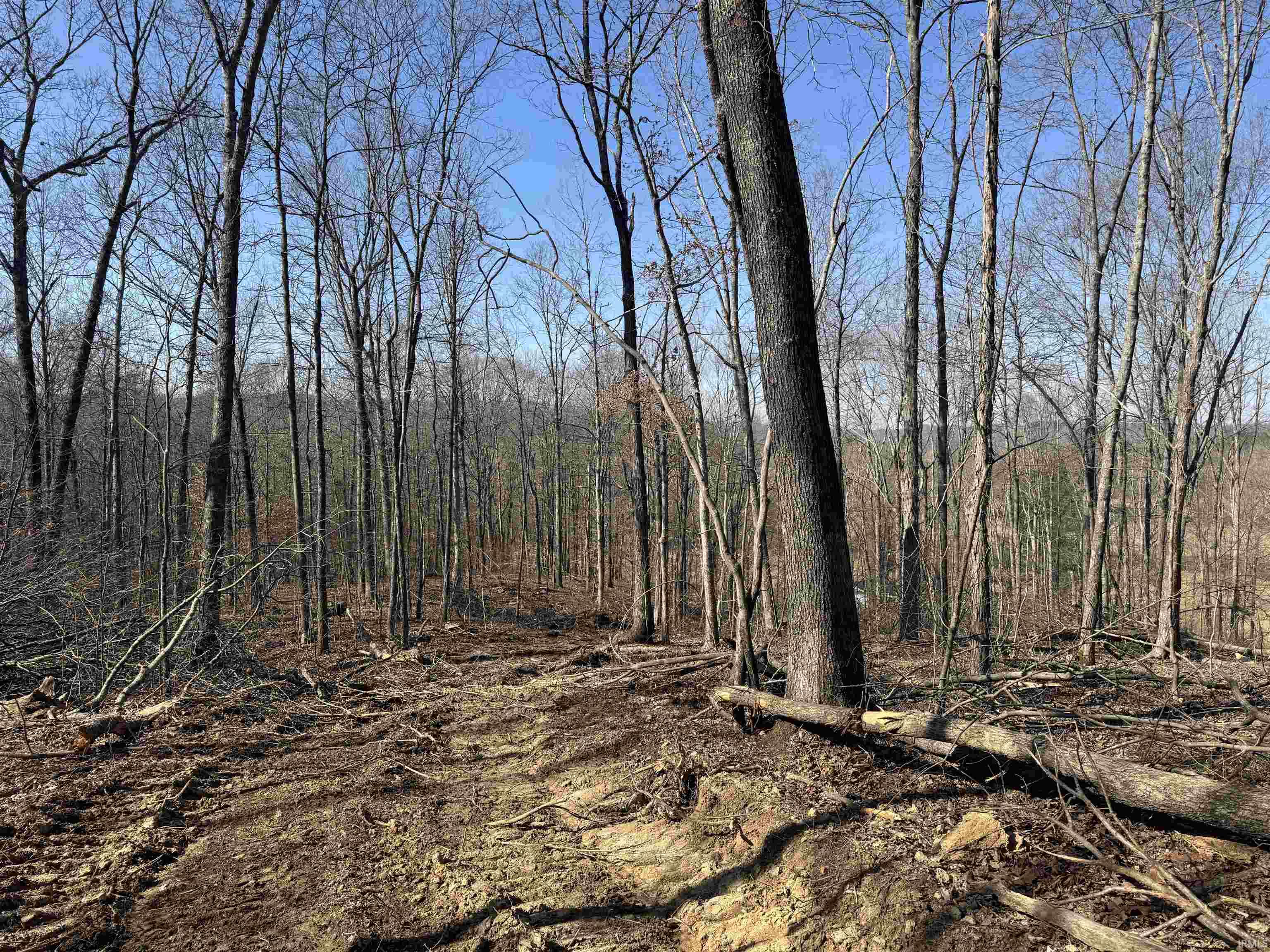 1 Off Meadows Heltonville, IN 47436 - Photo 21 of 23