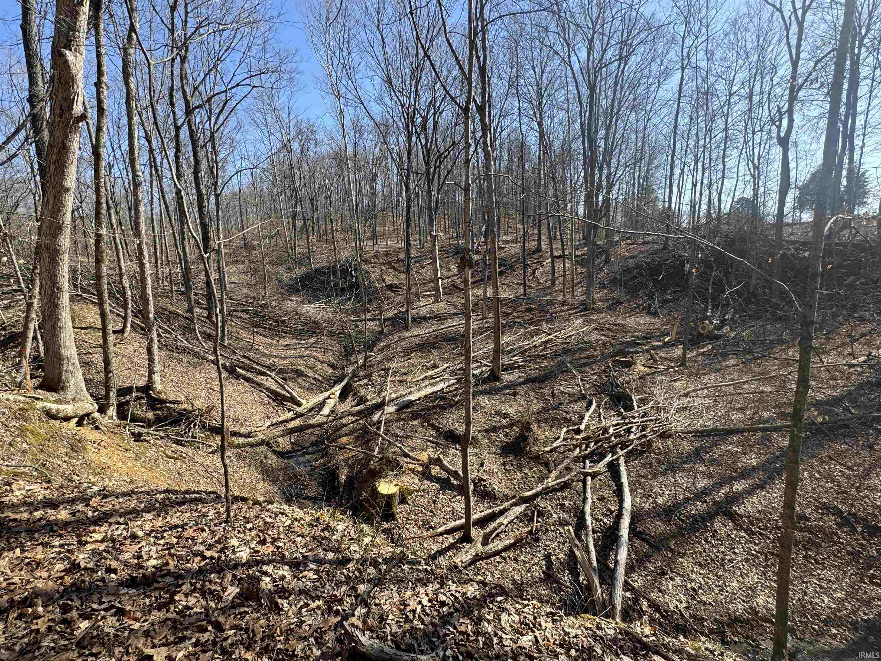 1 Off Meadows Heltonville, IN 47436 - Photo 22 of 23