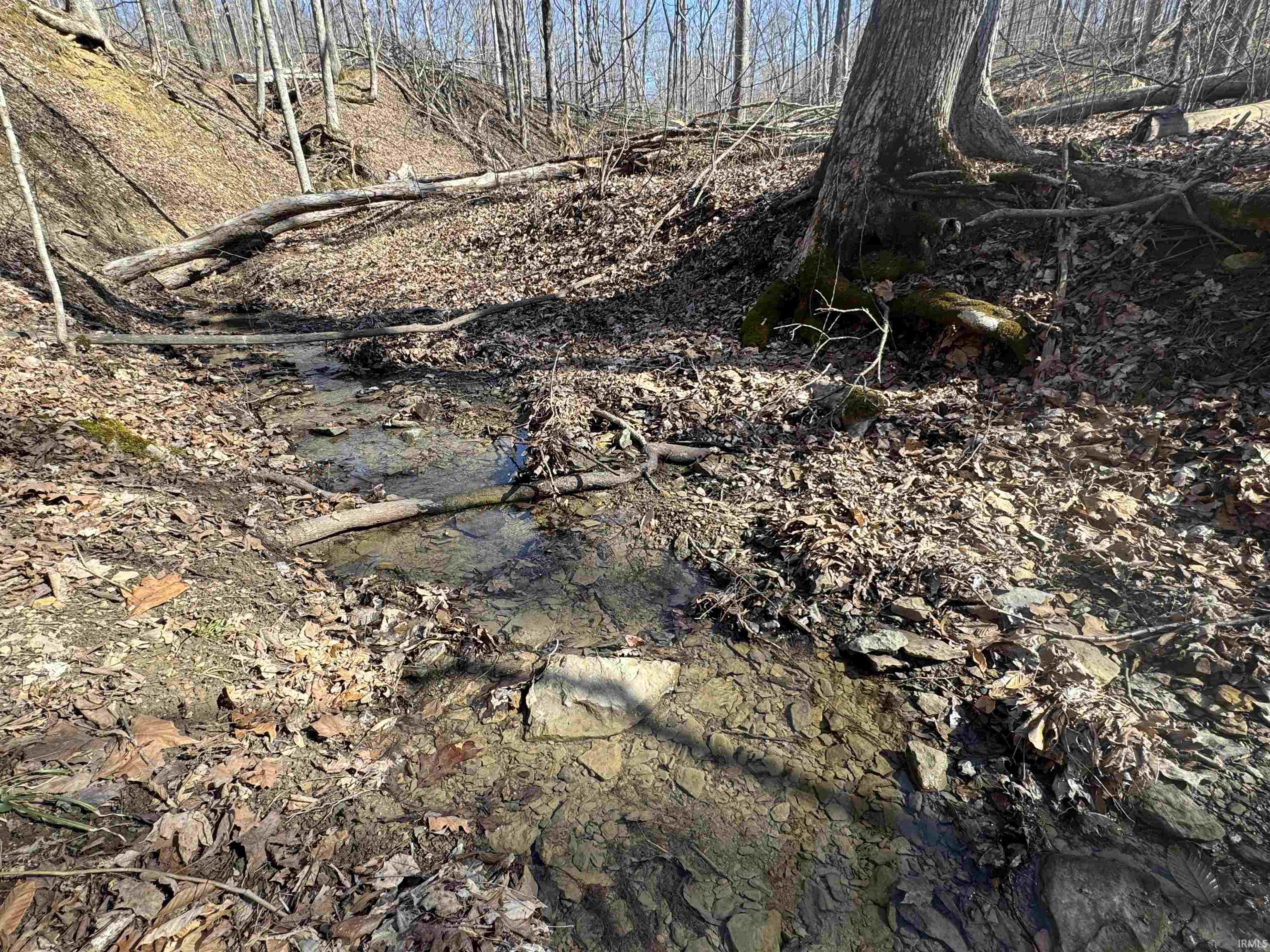 1 Off Meadows Heltonville, IN 47436 - Photo 23 of 23