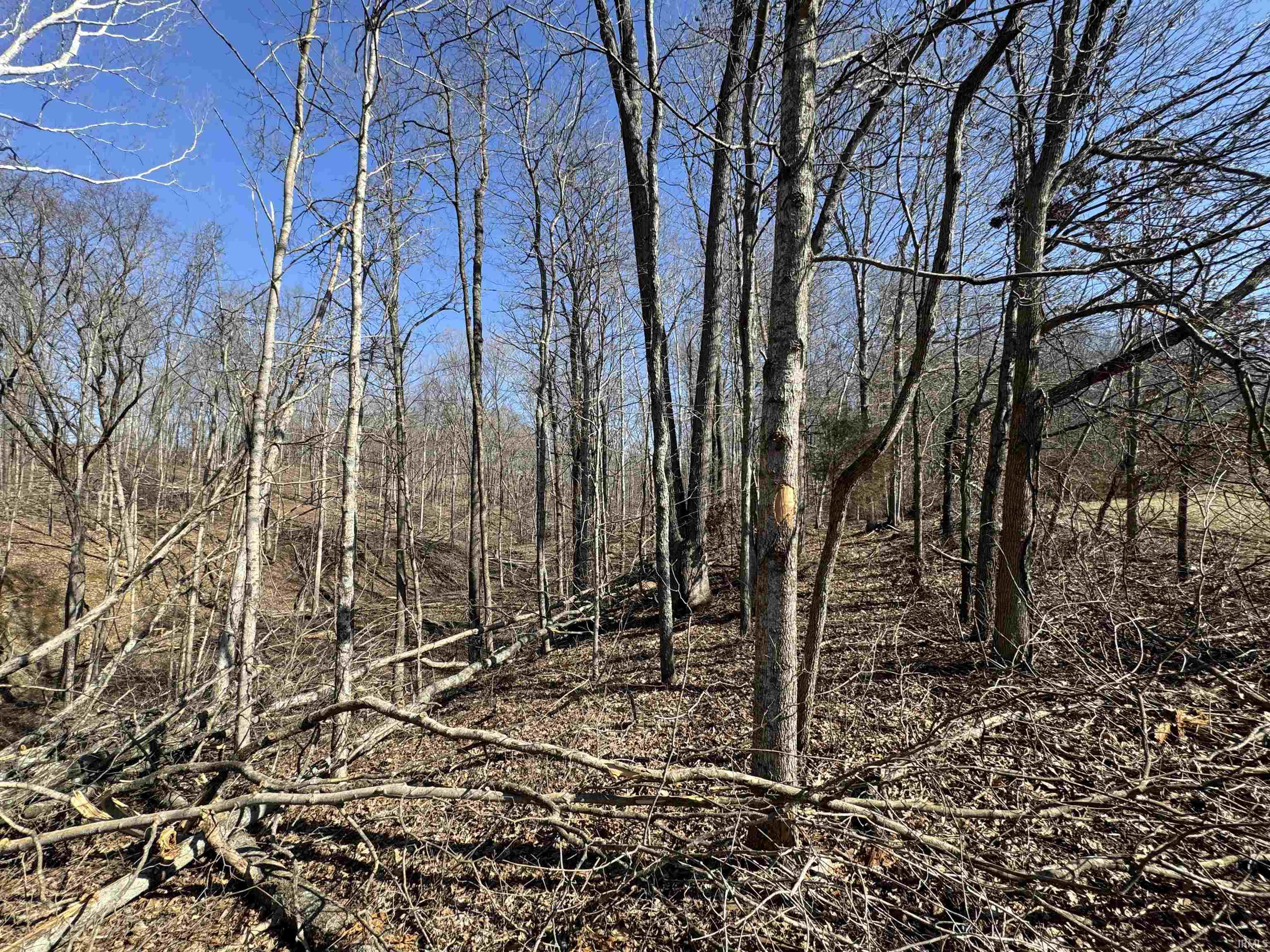 1 Off Meadows Heltonville, IN 47436 - Photo 3 of 23