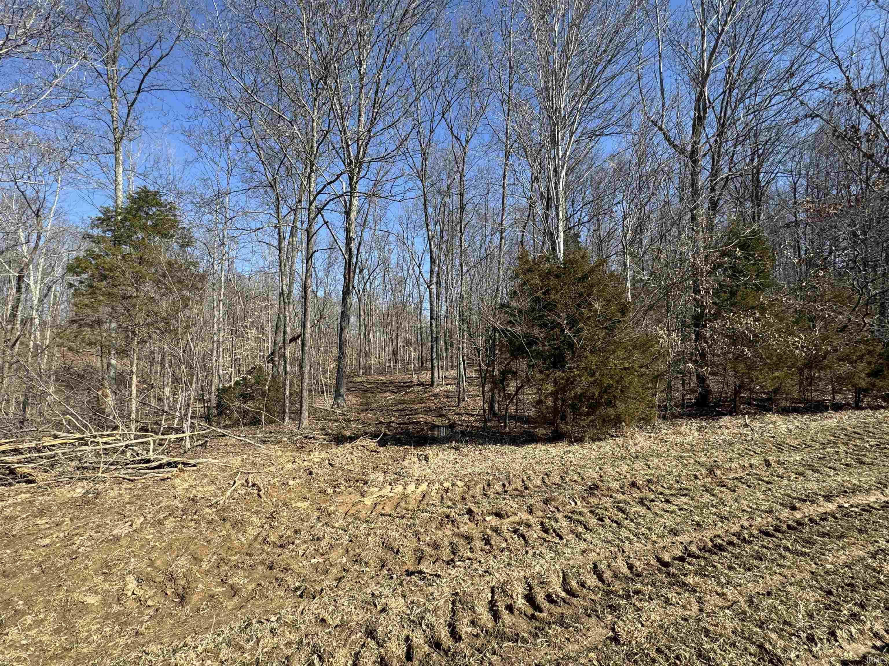 1 Off Meadows Heltonville, IN 47436 - Photo 4 of 23