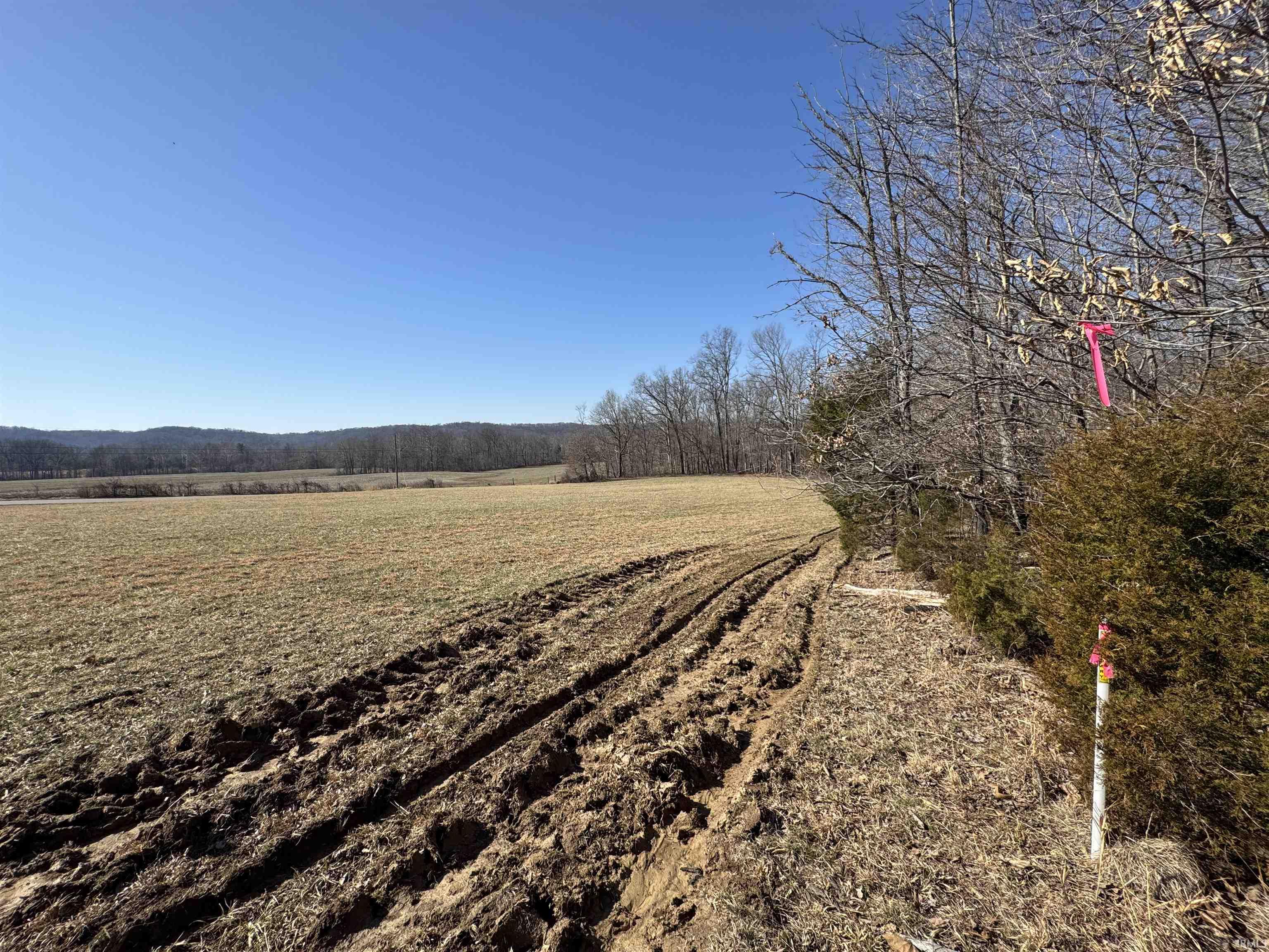 1 Off Meadows Heltonville, IN 47436 - Photo 6 of 23